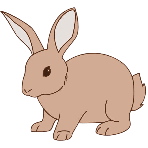 lapin-removebg-preview