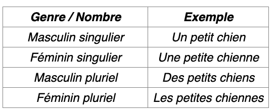 capture-decran-le-2025-07-28-a-093712
