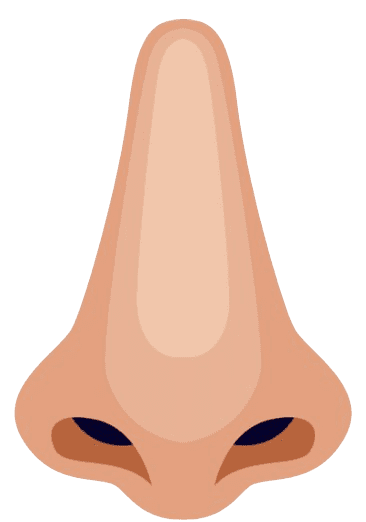 nez