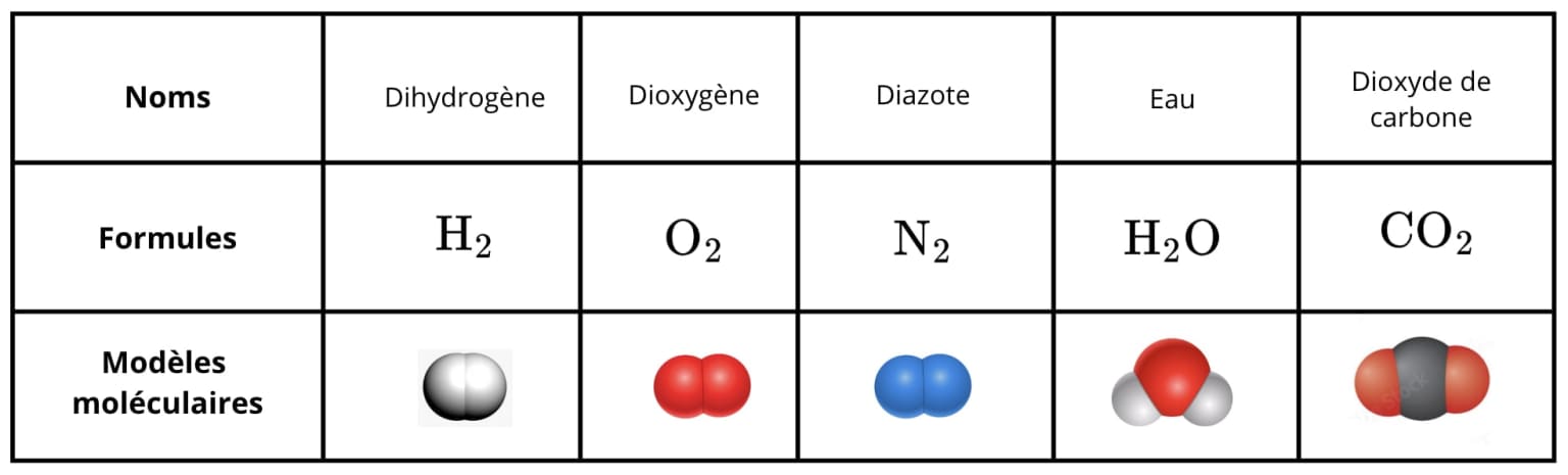 capture-decran-2026-02-16-a-123443