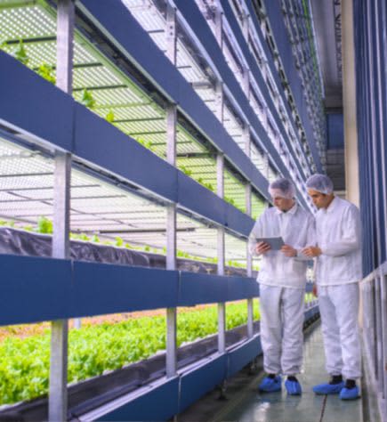 Secteur Agroalimentaire