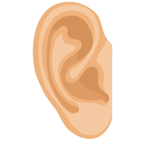 oreille-removebg-preview
