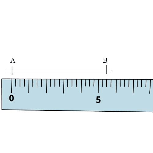 segment-removebg-preview