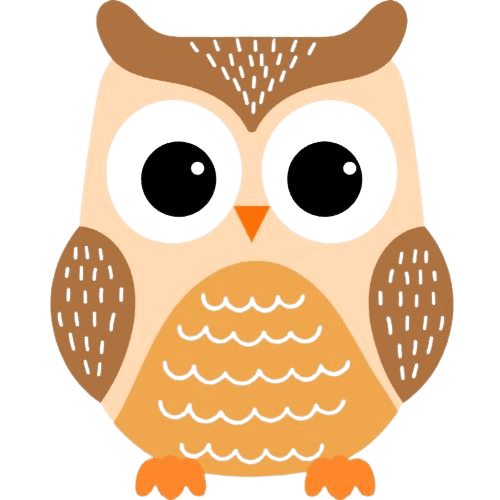 hibou-removebg-preview