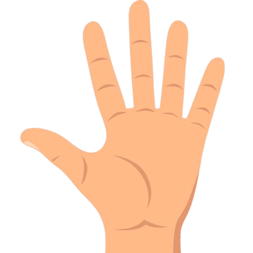 main5doigts-removebg-preview