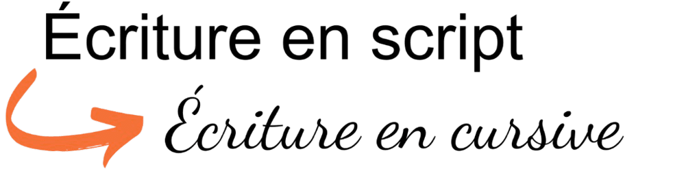 capturedecranle2025-08-25a111623-removebg-preview