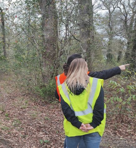Gestionnaire forestier