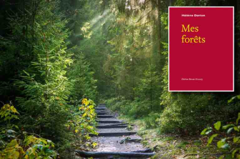 helene-dorion-mes-forets-analyse-bac-francais-2025-compressed