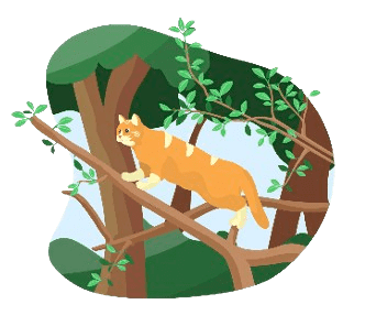 chat-roux-arbre