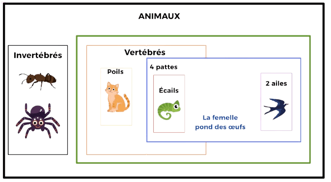 animaux