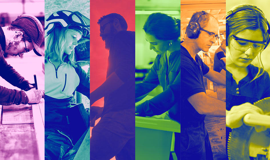 Tu cherches du bouleau ? Y'en en a dans les bois