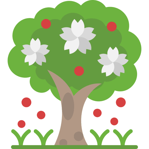 arbre