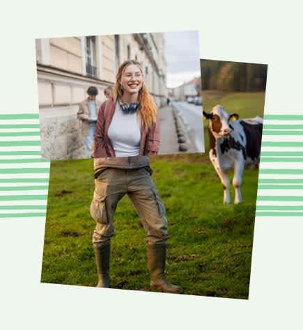 Le secteur de l'agriculture