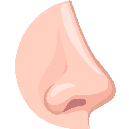 nez-removebg-preview