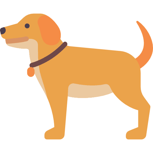 chien