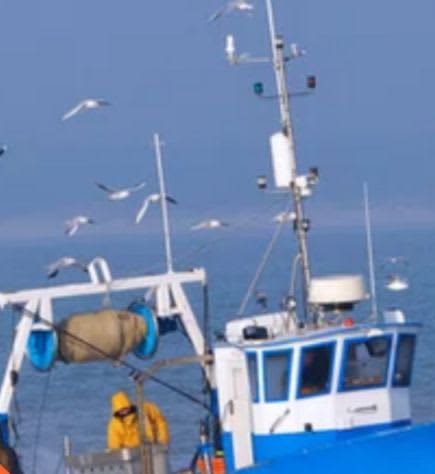 Patron de pêche