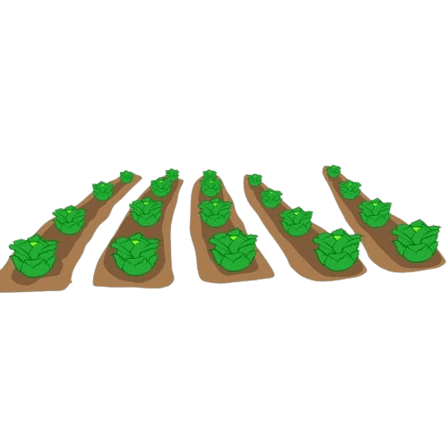 salades-removebg-preview