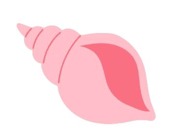 coquillage