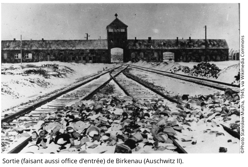 capture-decran-2026-03-10-a-160542