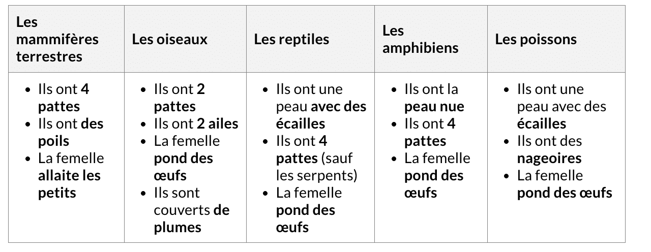 capture-decran-le-2026-07-17-a-161424