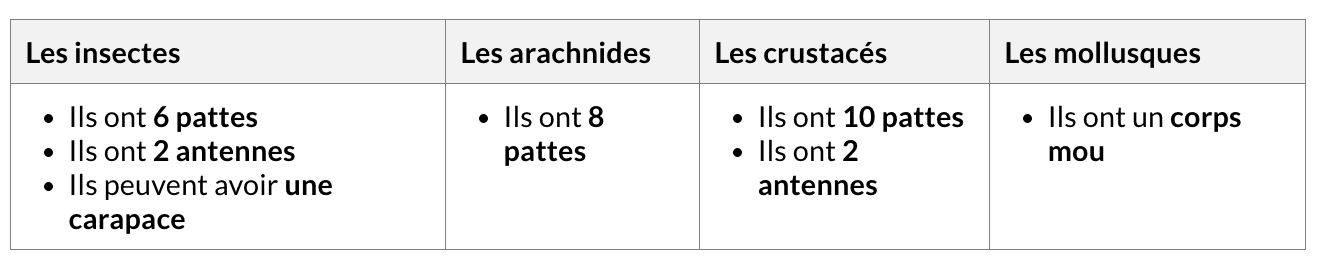 capture-decran-le-2026-07-17-a-161429