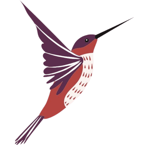 colibri-removebg-preview