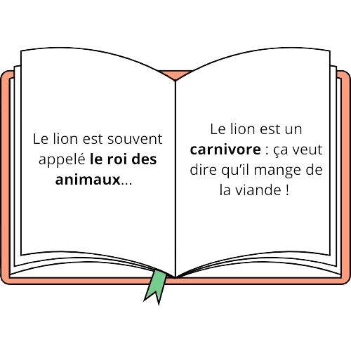 livreouvertavectexte-removebg-preview