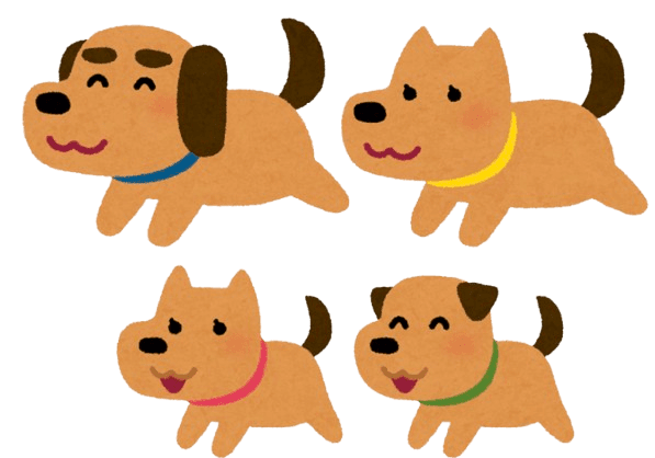 chiens