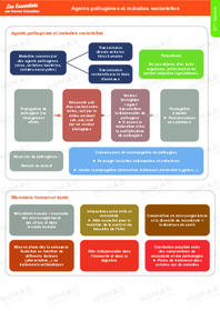 2de Gé - Agents Pathogènes Et Maladies Vectorielles - Nomad Education