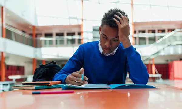 Tout Savoir sur le programme LLCA en terminale